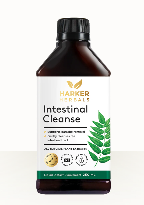 Intestinal Cleanse (500ml) - 365 Health Limited